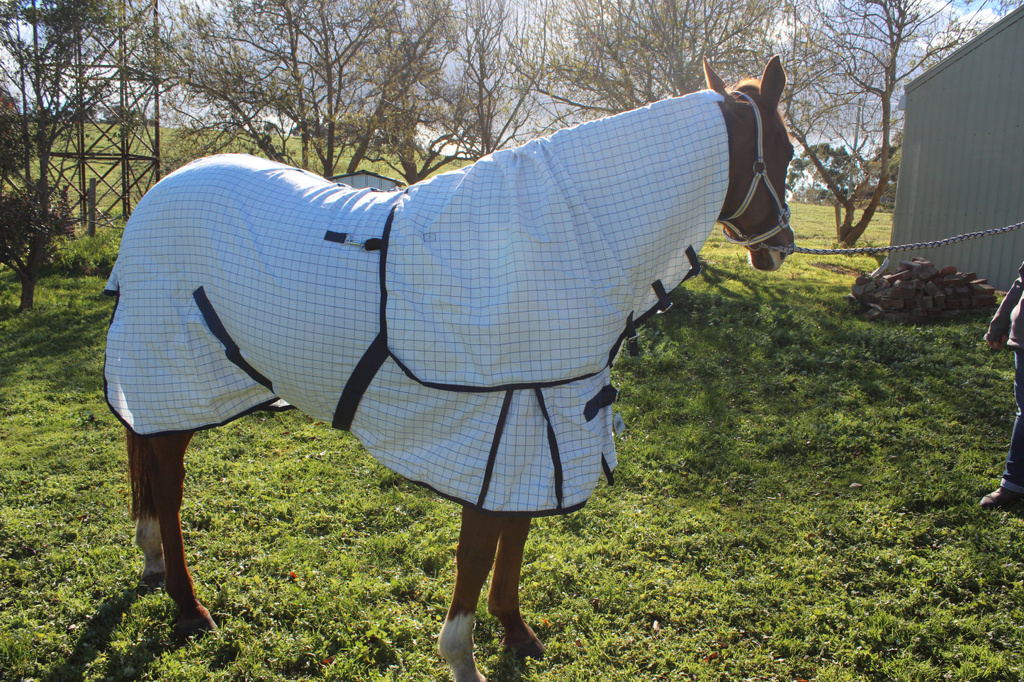 Unicorn Cotton Rug with Detachable Neck (Model: Desire)