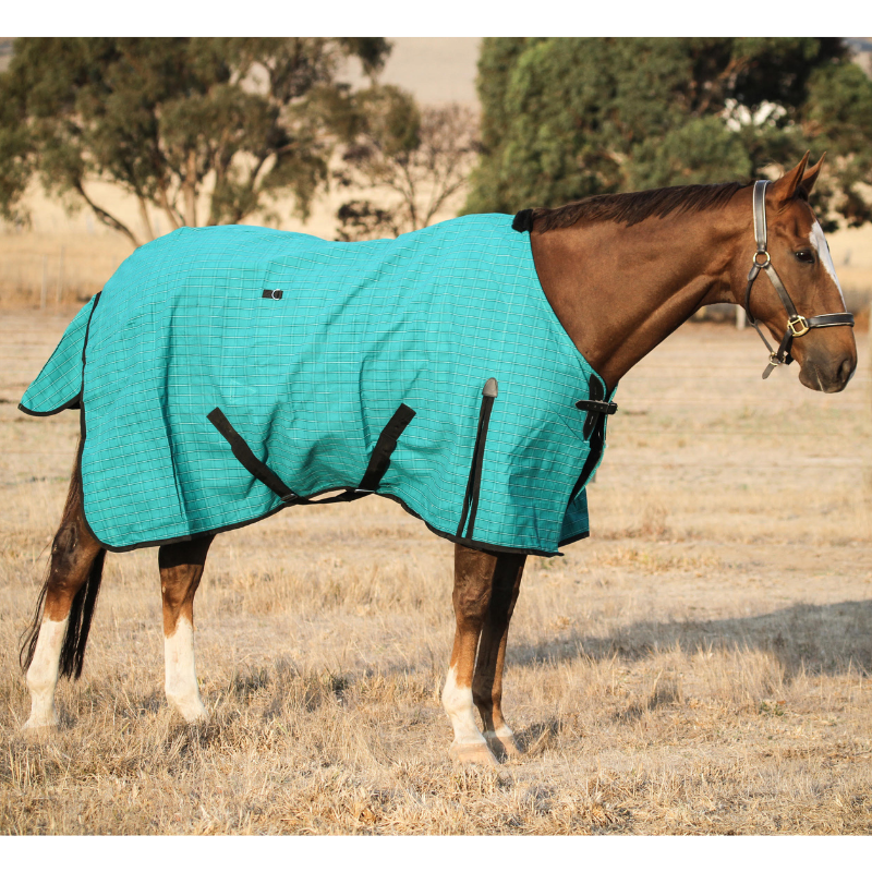 Unicorn Canvas Unlined Horse Rug