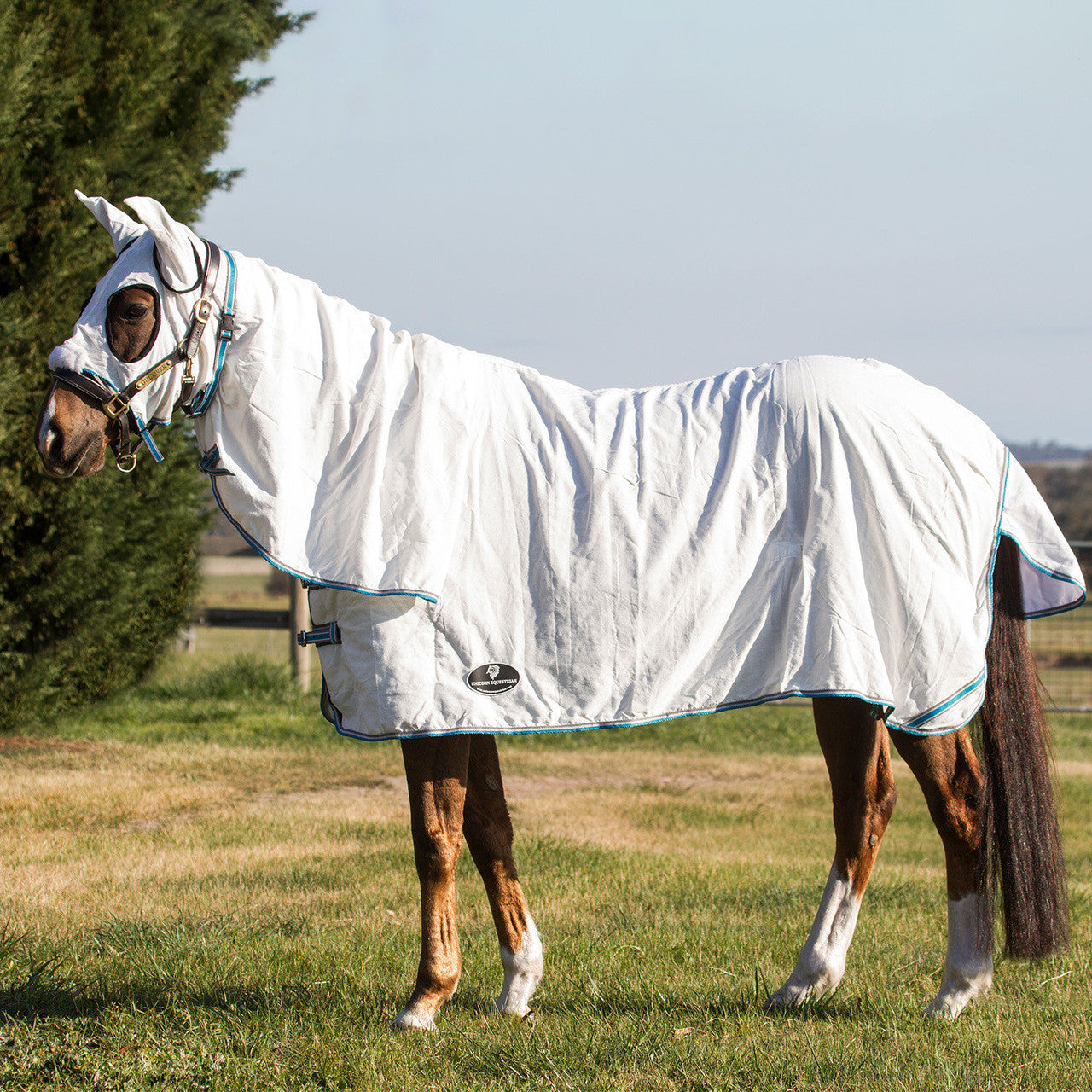 Unicorn Hooded Flag Cotton Horse Rug