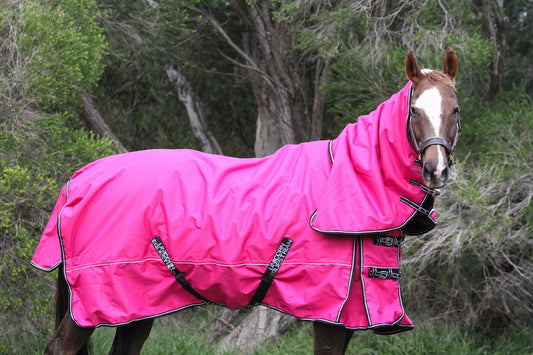 Pink Sturdy Combo 1200 Denier 300 GSM Polyfilled Waterproof & Breathable Winter Horse Rug