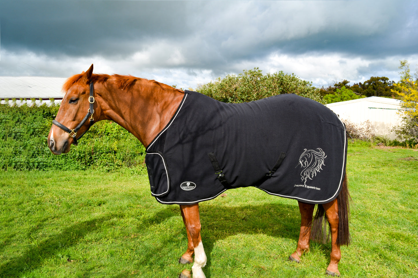 Unicorn Embroidered Anti Piling Show Fleece Horse Rug