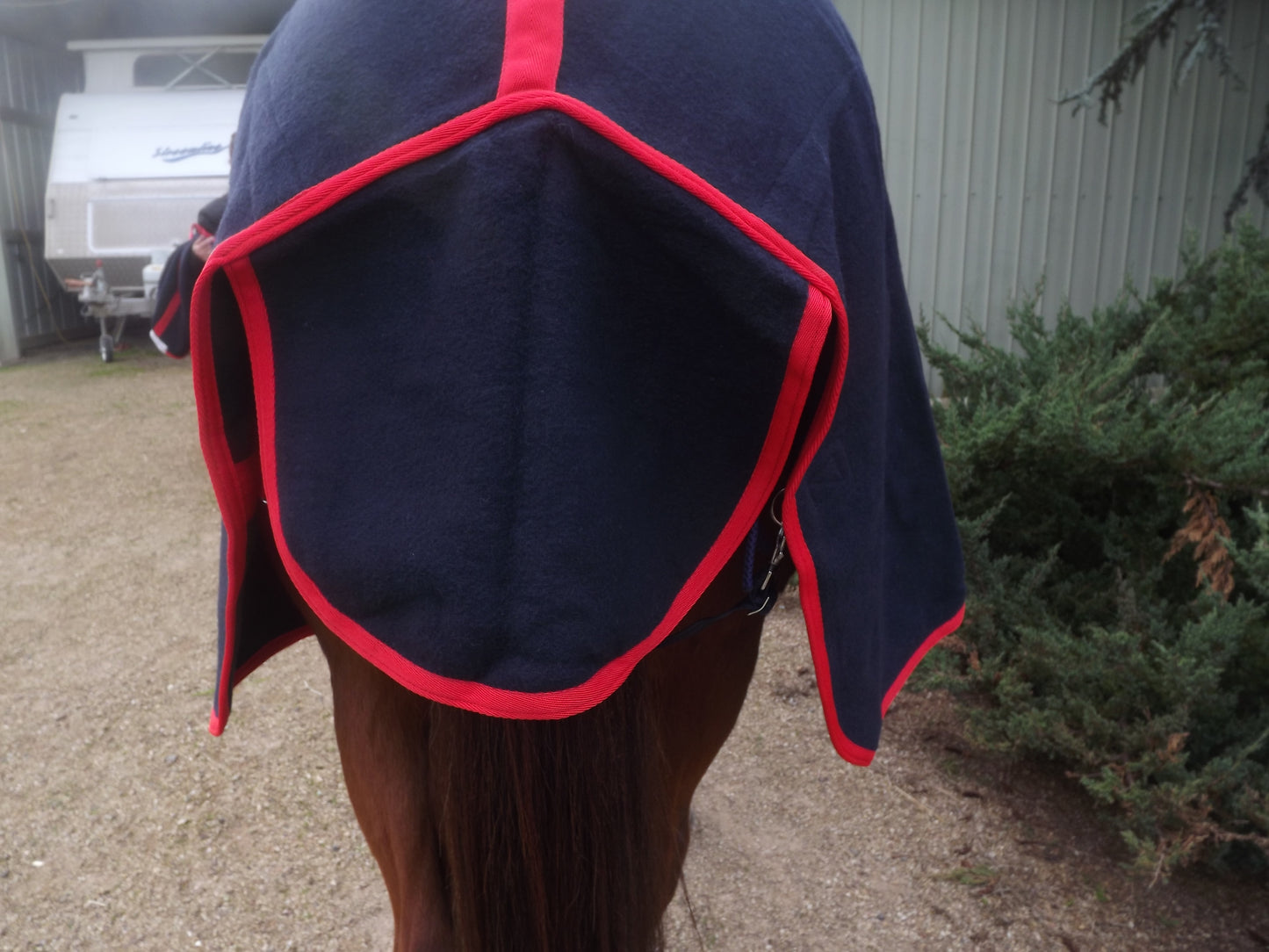 Navy Merino Wool Horse Rug with Detachable Neck and Red Binding