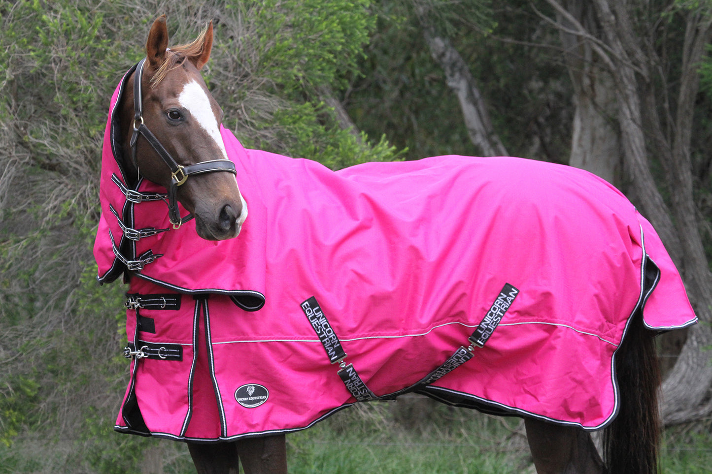 Pink Sturdy Combo 1200 Denier 300 GSM Polyfilled Waterproof & Breathable Winter Horse Rug