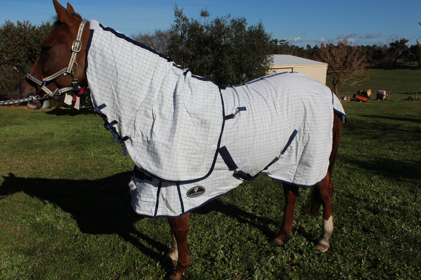Unicorn Cotton Rug with Detachable Neck (Model: Desire)