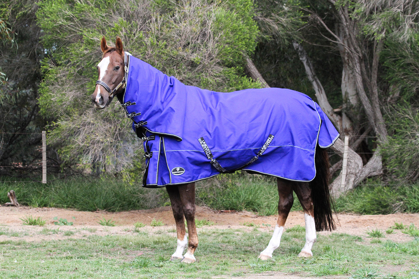 Royal Blue Aussie Bushmaster 2000 Denier 300 GSM Polyfill Waterproof & Breathable Winter Horse Rug