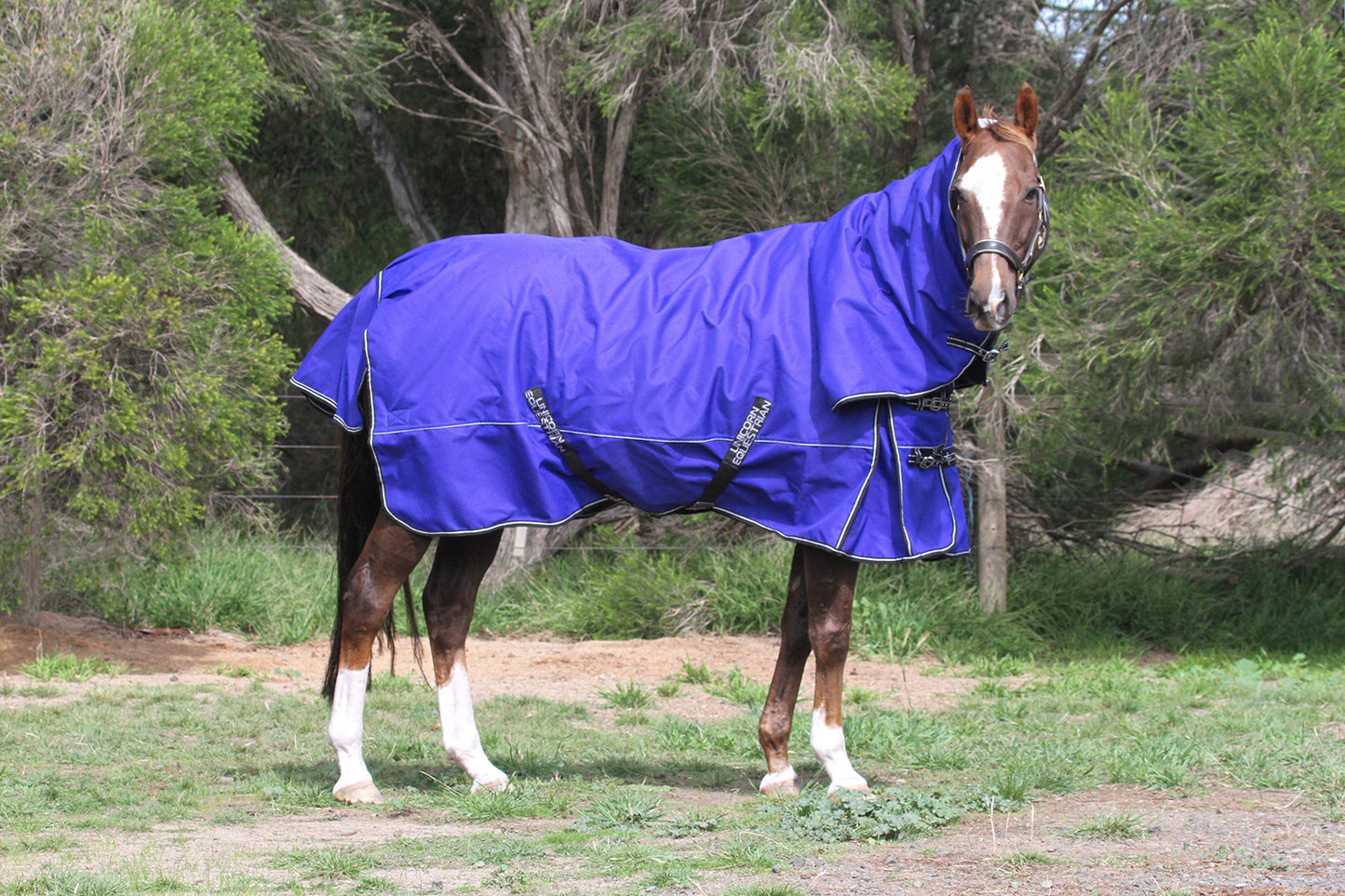 Royal Blue Aussie Bushmaster 2000 Denier 300 GSM Polyfill Waterproof & Breathable Winter Horse Rug