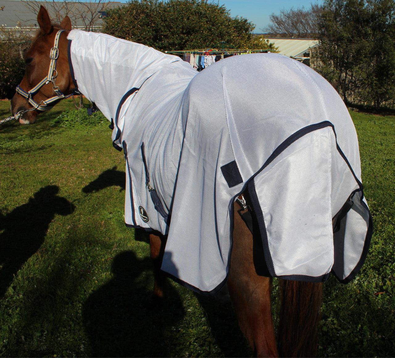 410 GSM Fly Mesh Combo Horse Rug