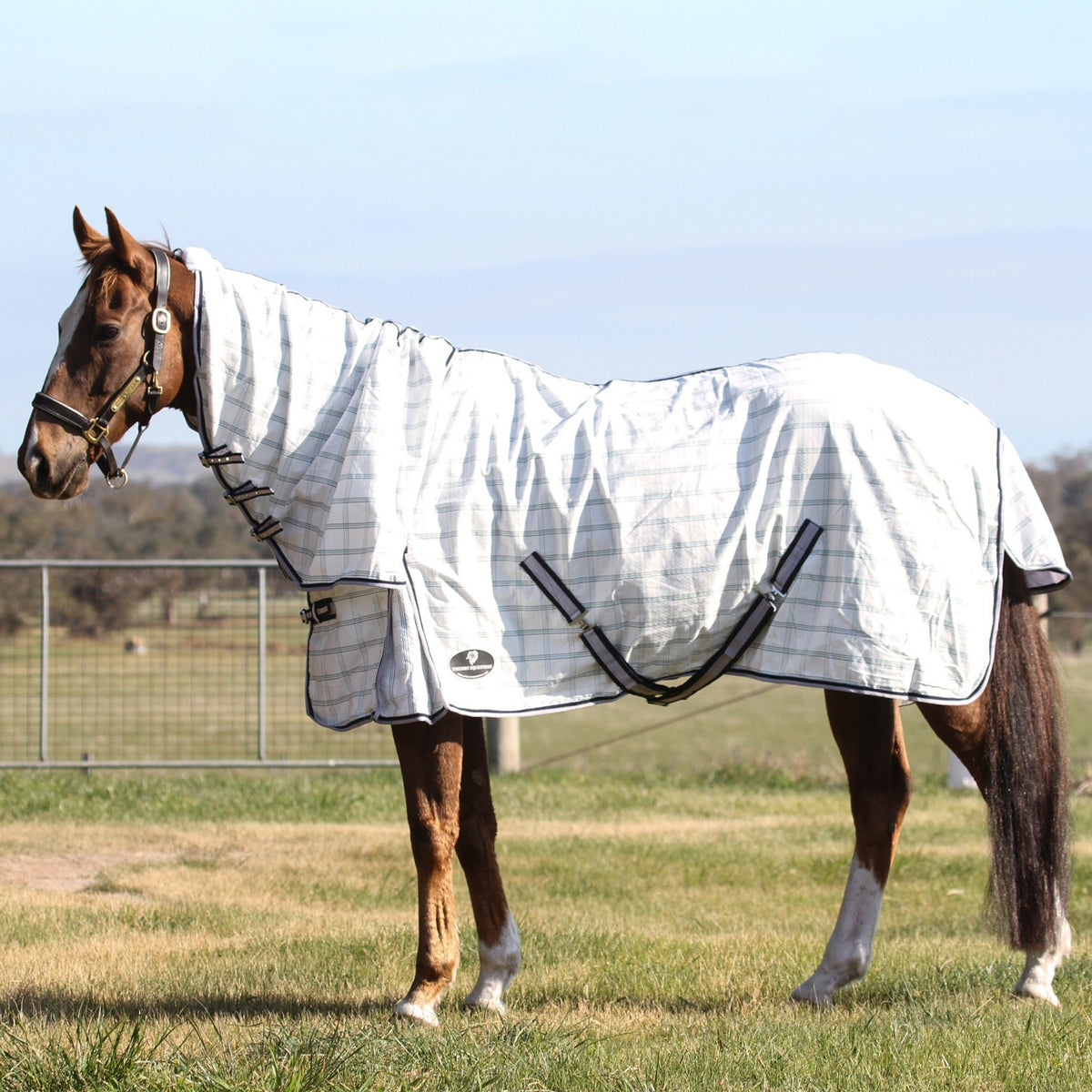 Summer Rugs