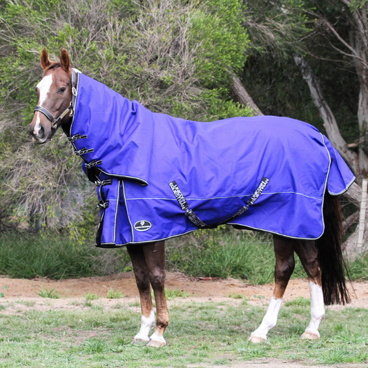 Royal Blue Aussie Bushmaster 2000 Denier 300 GSM Polyfill Waterproof & Breathable Winter Horse Rug