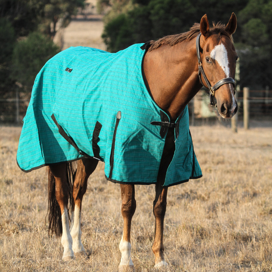 Unicorn Canvas Unlined Horse Rug