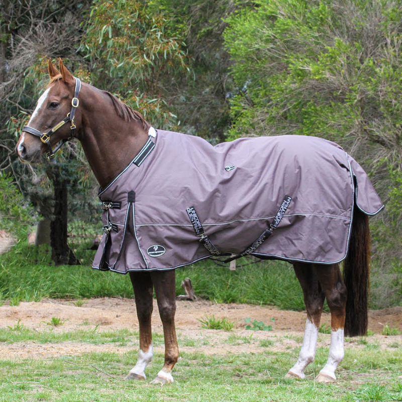 Grey Platinum 1200 Denier 300 GSM Polyfilled Waterproof & Breathable Winter Horse Rug