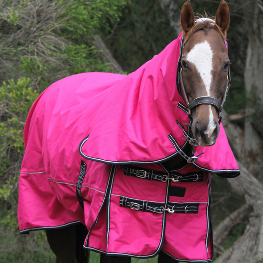 Pink Sturdy Combo 1200 Denier 300 GSM Polyfilled Waterproof & Breathable Winter Horse Rug
