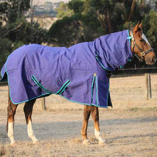 Wool Lined Blue Canvas 640 GSM