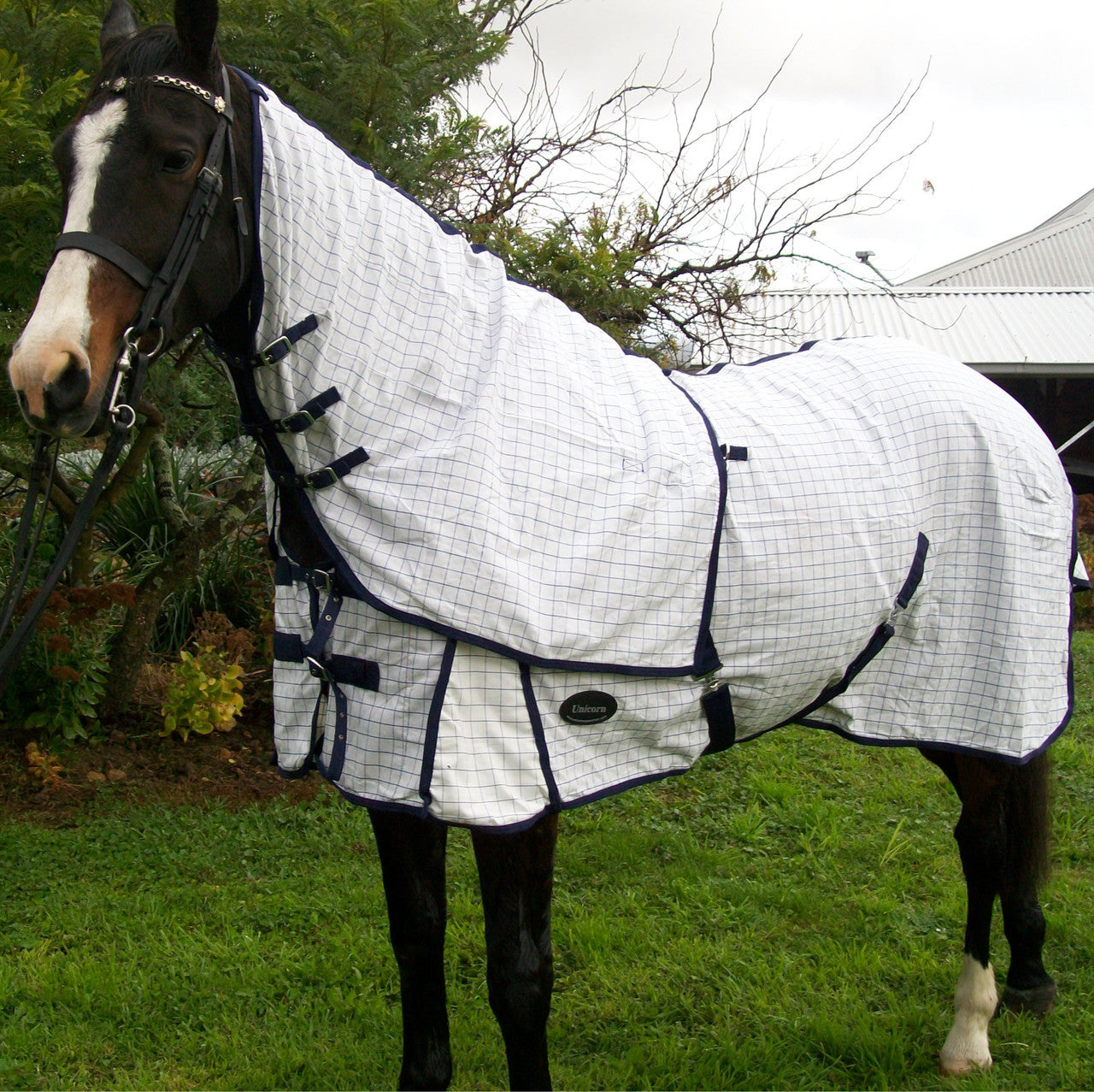 Unicorn Cotton Rug with Detachable Neck (Model: Desire)