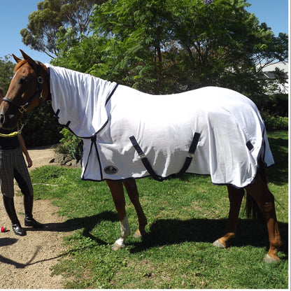 410 GSM Fly Mesh Combo Horse Rug