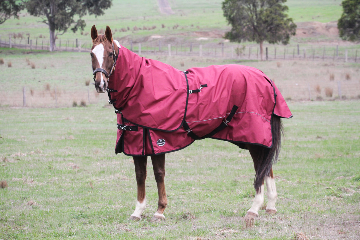 Rain Sheets