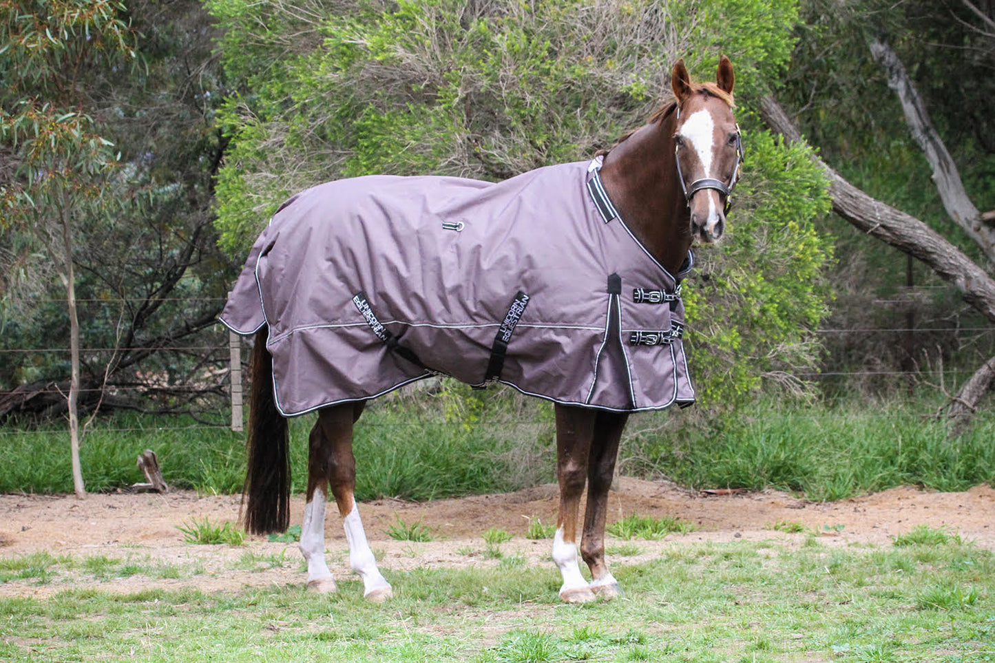 Grey Platinum 1200 Denier 300 GSM Polyfilled Waterproof & Breathable Winter Horse Rug
