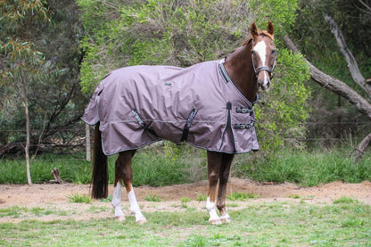 Grey Platinum 1200 Denier 300 GSM Polyfilled Waterproof & Breathable Winter Horse Rug