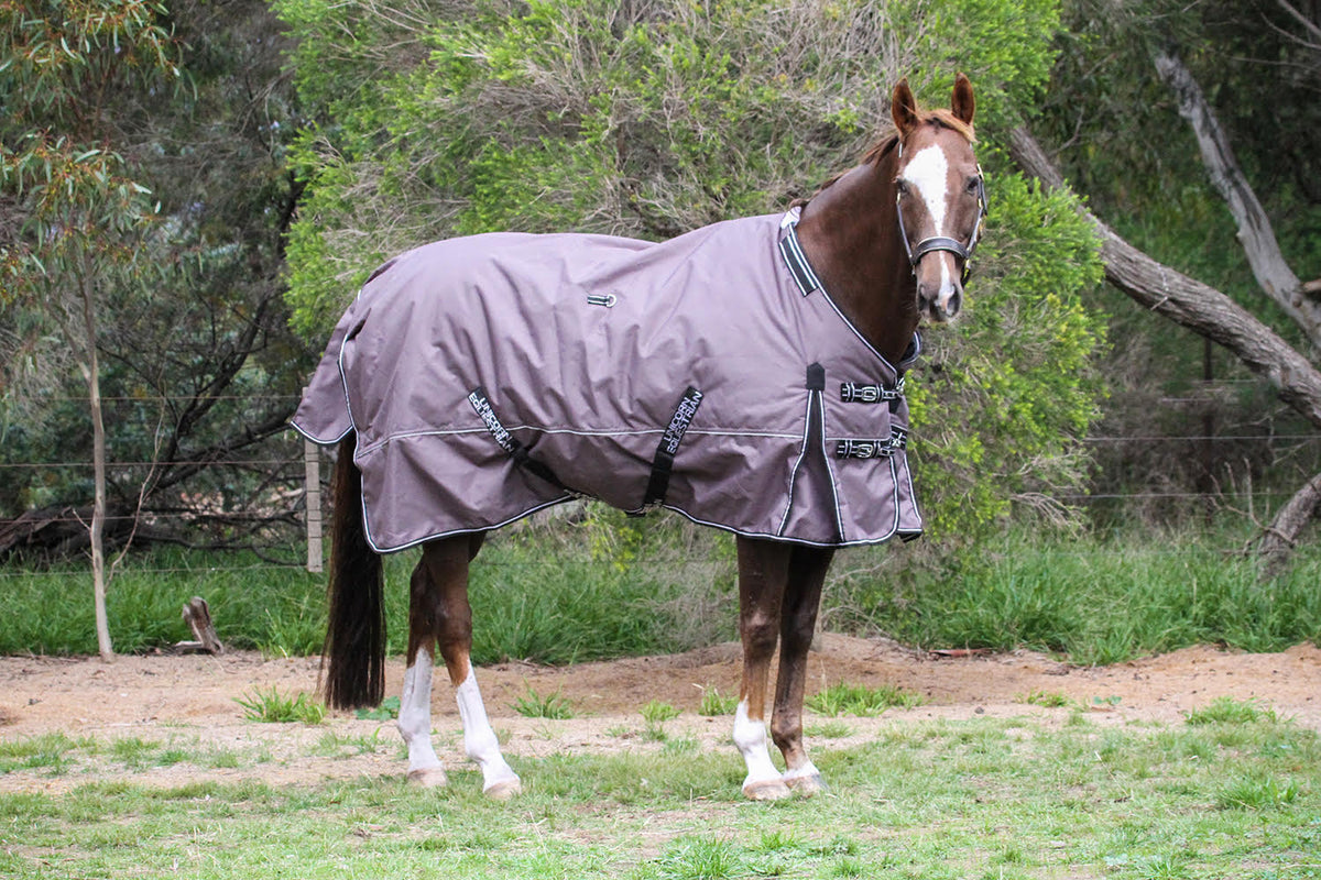 All Horse Rugs