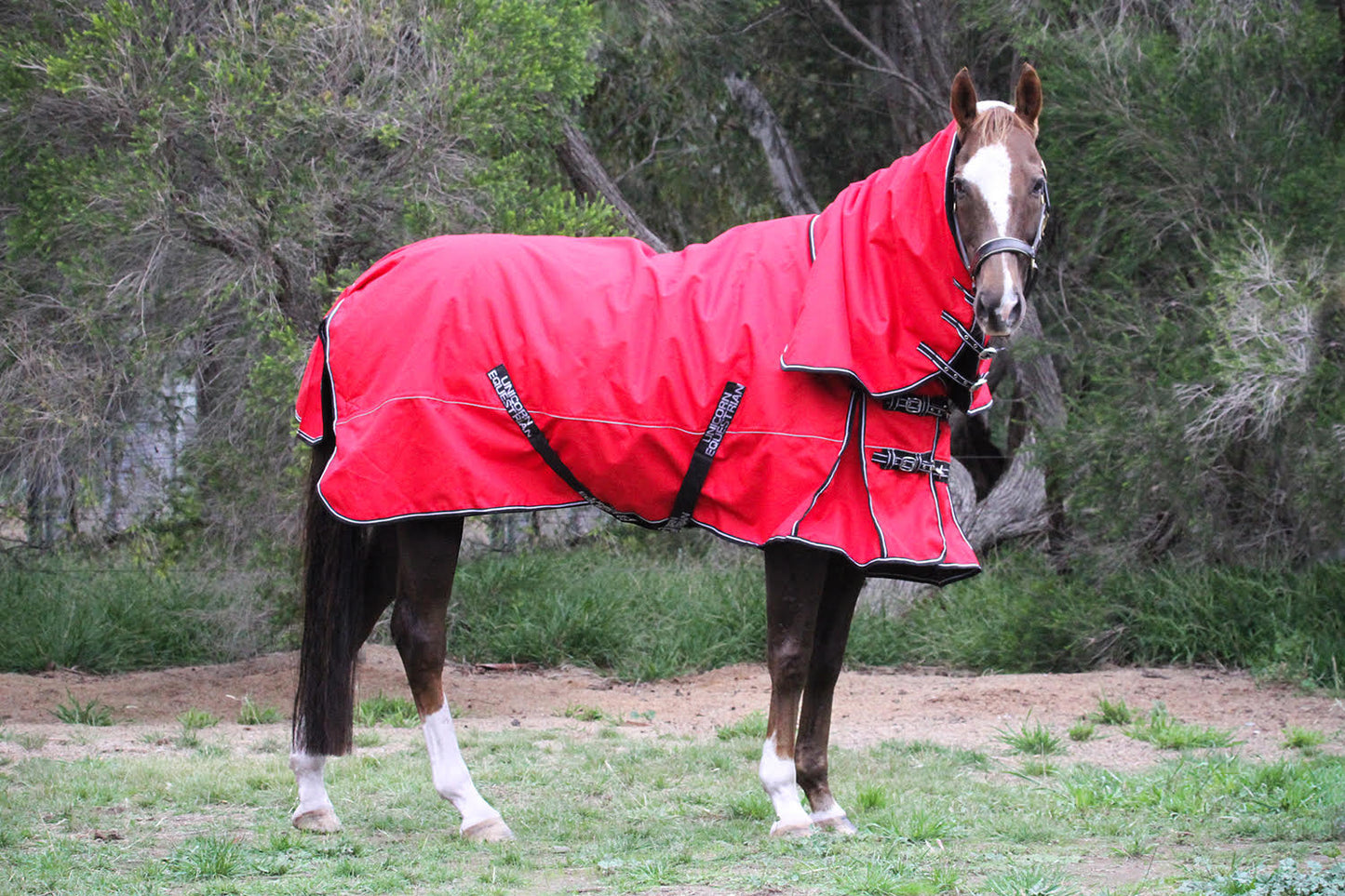 Red Aussie Bushmaster 2000 Denier 300 GSM Polyfill Waterproof & Breathable Winter Horse Rug