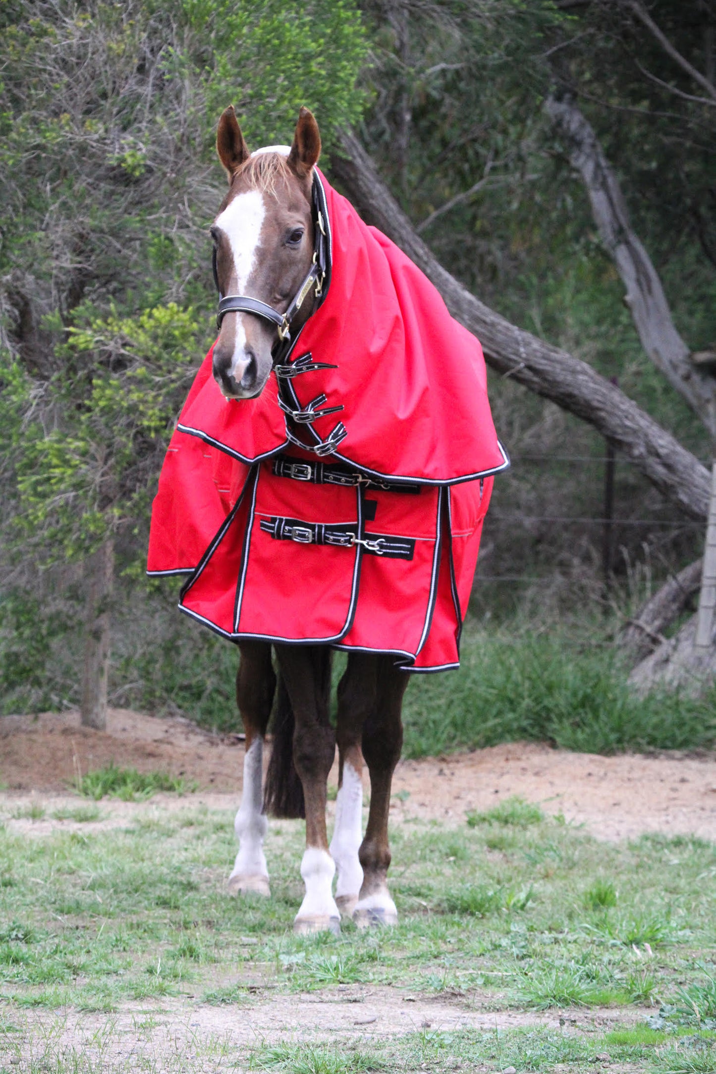 Red Aussie Bushmaster 2000 Denier 300 GSM Polyfill Waterproof & Breathable Winter Horse Rug