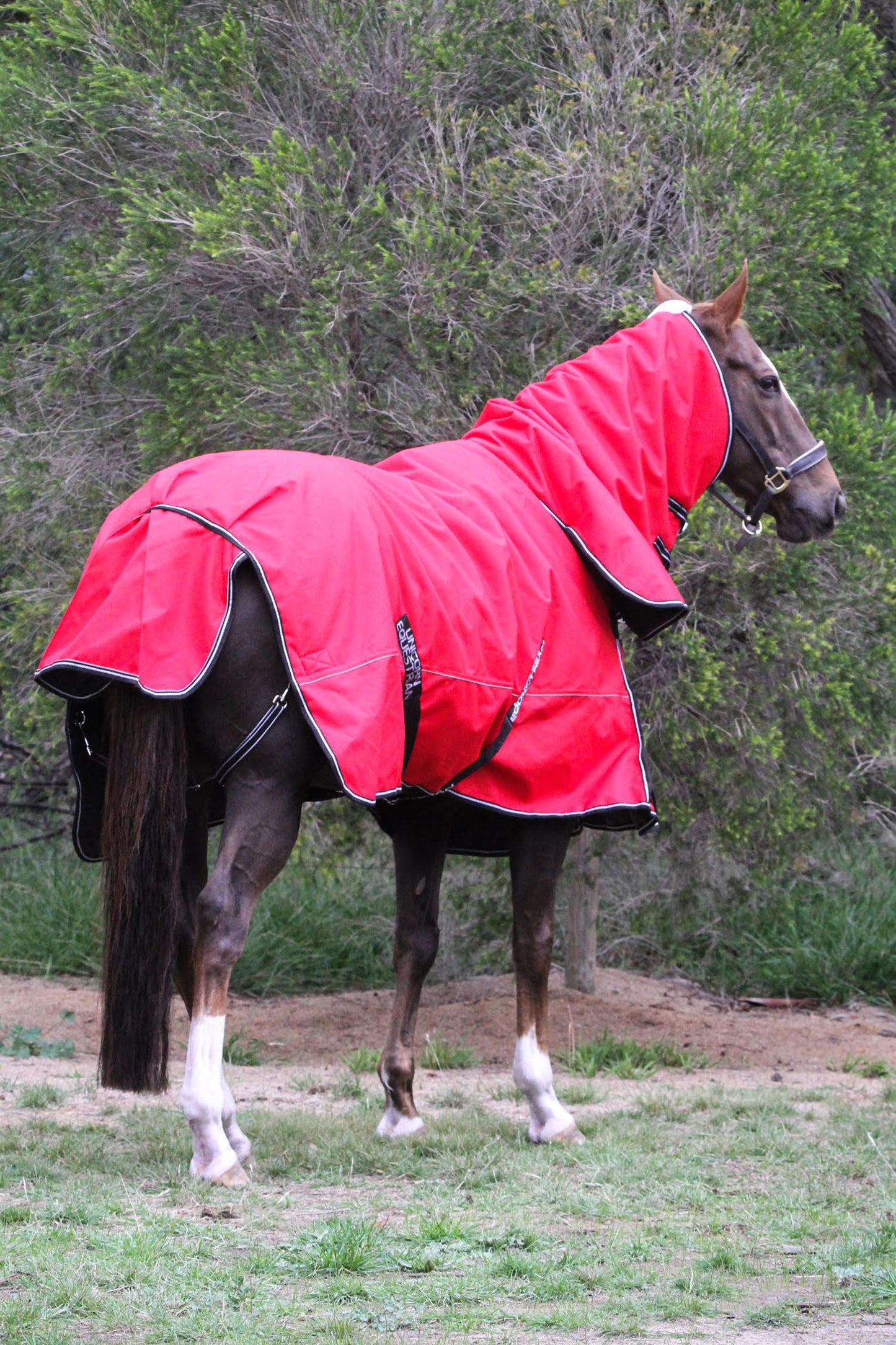 Red Aussie Bushmaster 2000 Denier 300 GSM Polyfill Waterproof & Breathable Winter Horse Rug
