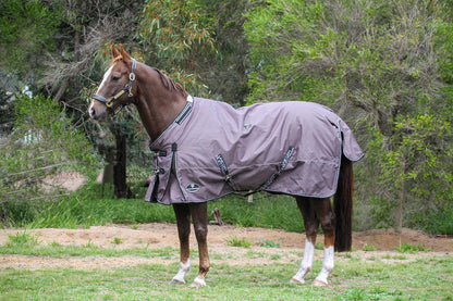 Grey Platinum 1200 Denier 300 GSM Polyfilled Waterproof & Breathable Winter Horse Rug
