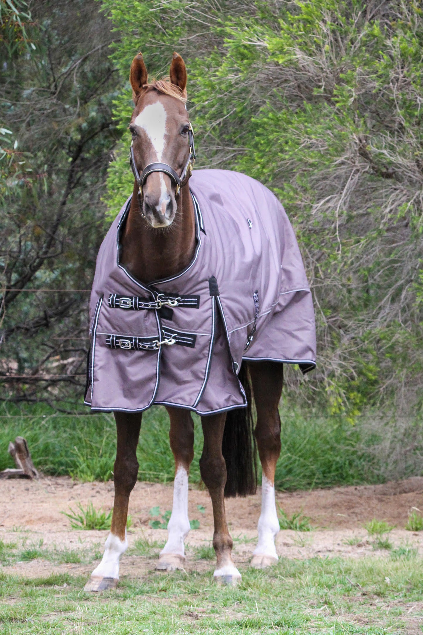 Grey Platinum 1200 Denier 300 GSM Polyfilled Waterproof & Breathable Winter Horse Rug